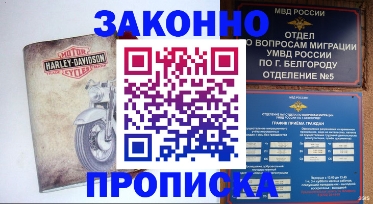 прописка для школы в Карасуке